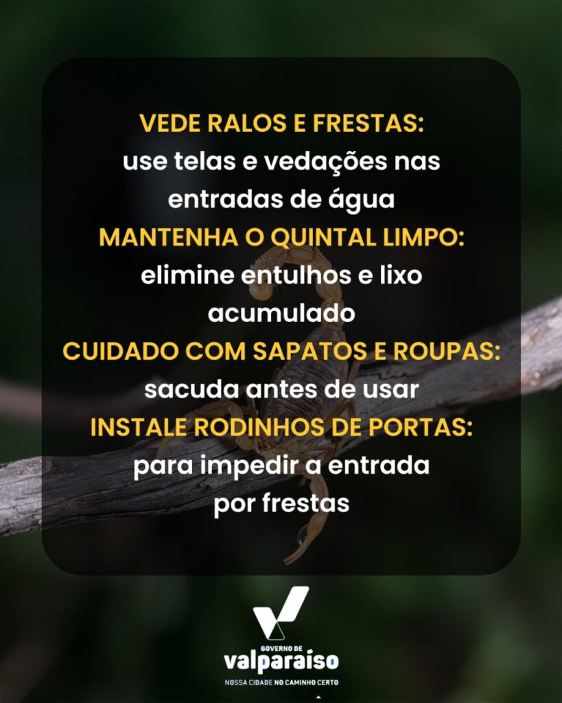 escorpioes--819x1024 Alerta: Proteja sua casa dos Escorpiões