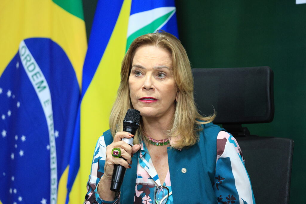 audincia-pblica-vooroca_54502495039_o-1024x683 Câmara de Valparaíso de Goiás realiza audiência pública para debater erosão em voçoroca na BR-040 e anuncia nova reunião na Câmara dos Deputados
